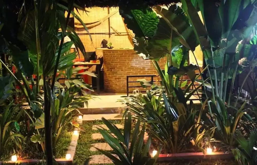 The Green Home - photo 23