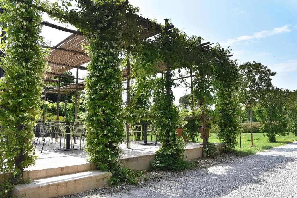 Venicegreen Agriresort - photo 16