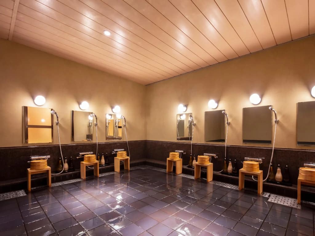 Gion Ryokan Karaku - photo 20