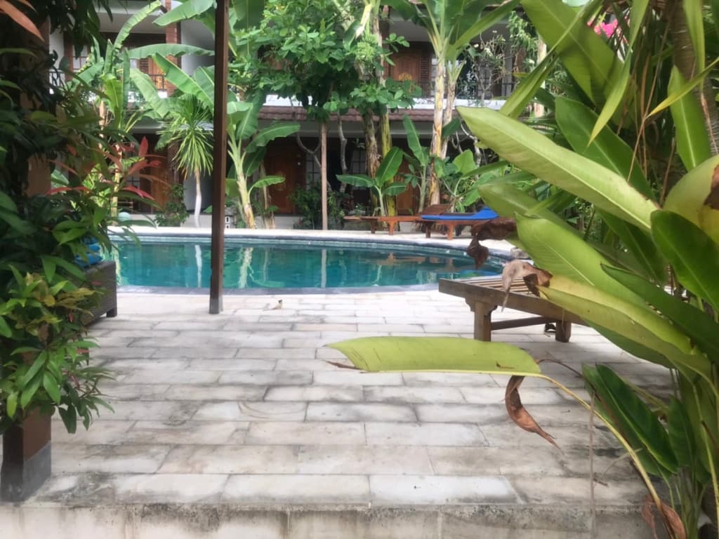 Sanur Lodge - photo 11