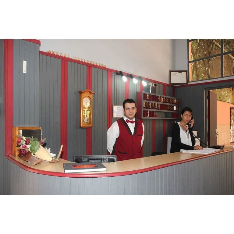 Hotel Toulousain - photo 27