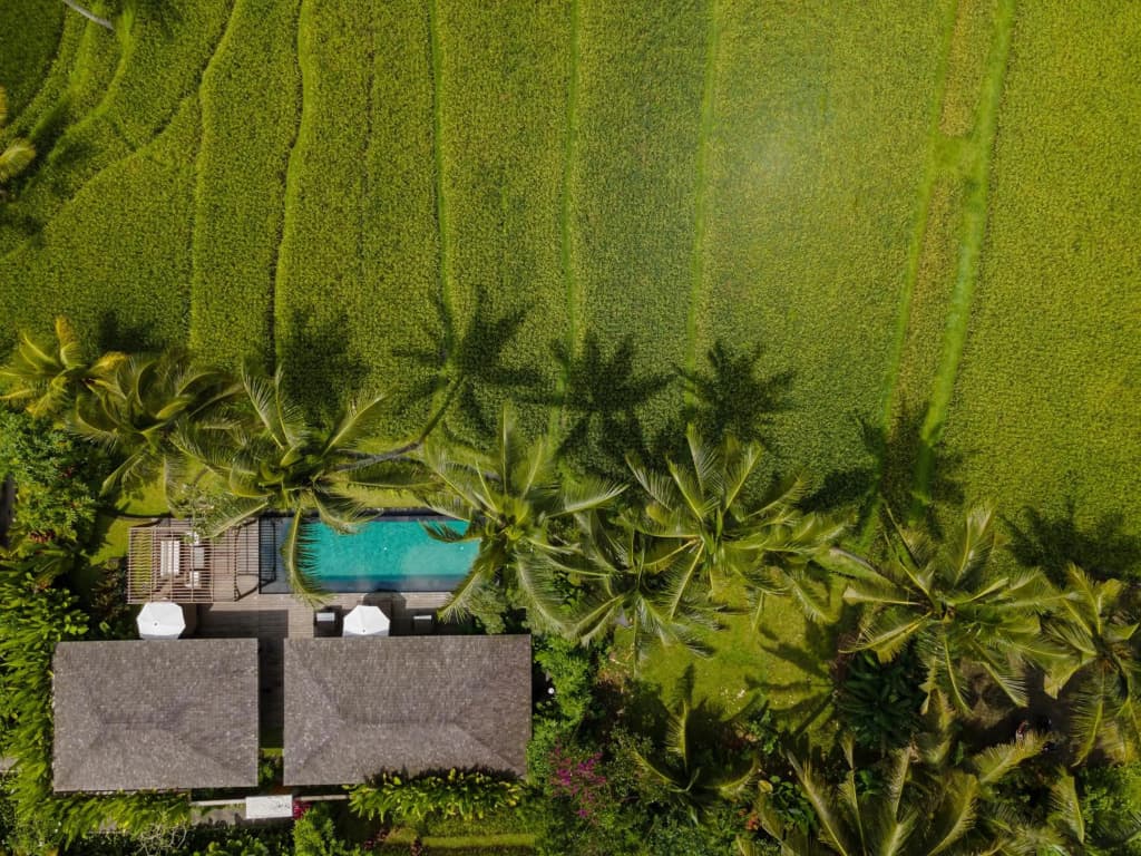 Kappa Senses Ubud Hotel - photo 34
