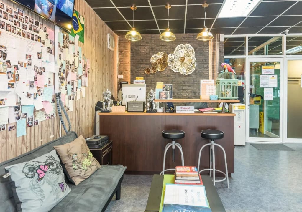 Tiger Lily Hostel - photo 10