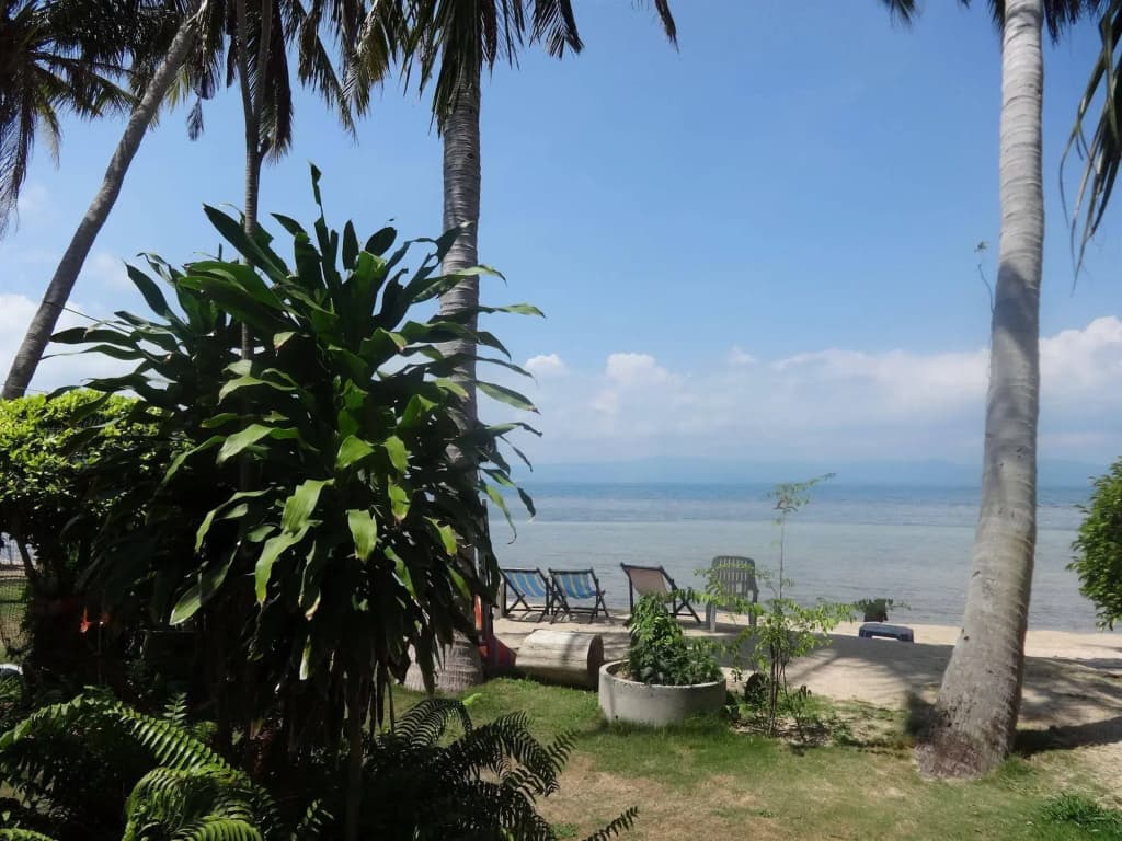 Bird Bungalow - photo 10