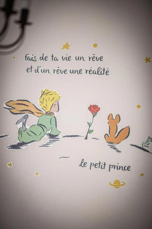 Nice Fleurs - photo 27