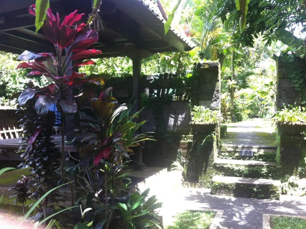 Karang Mesari Ubud Guest House - photo 12