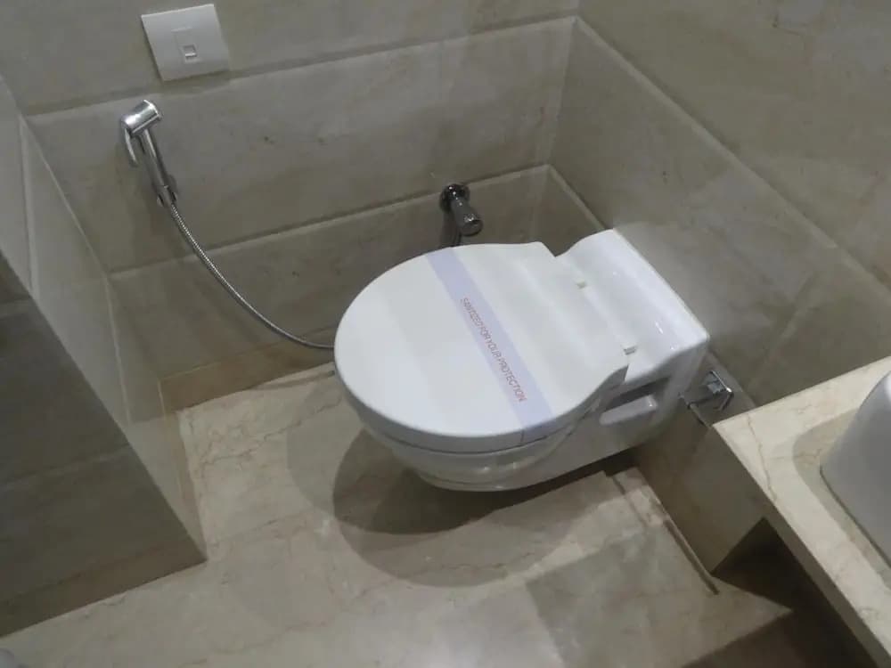 Hotel Chanchal Continental - photo 10