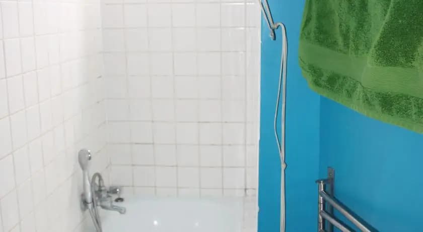 Central View Apartment - photo 4