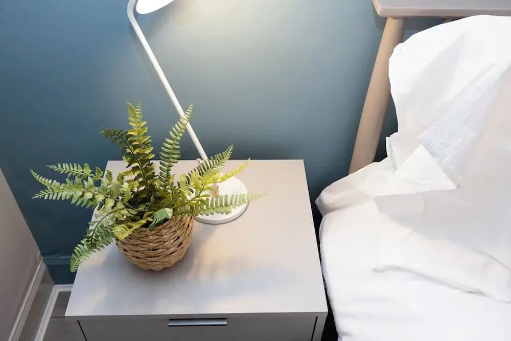 Stylish 1-bed flat in New Town - photo 2