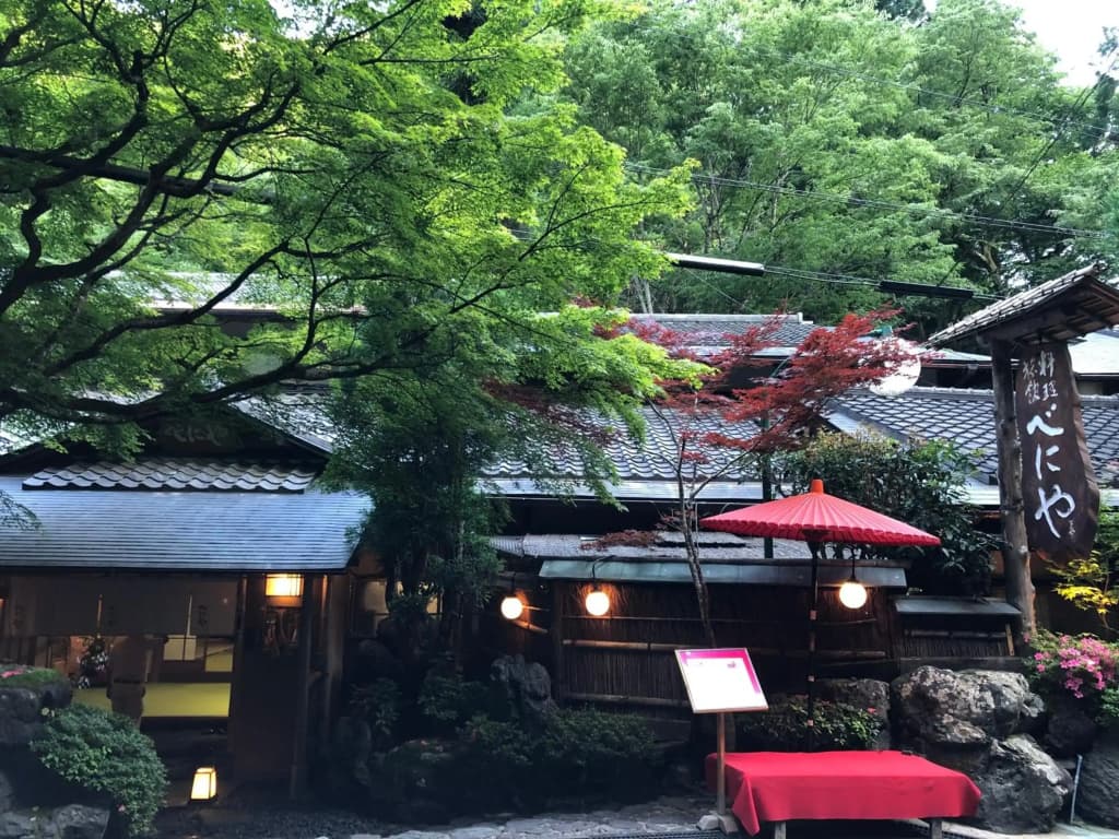 Benidaruma - Sakuramochi - photo 10