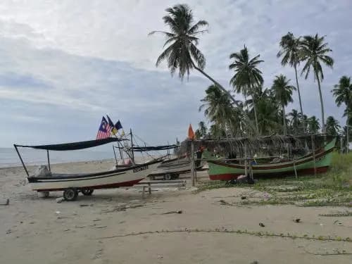 Ala Beach Lodge - photo 12