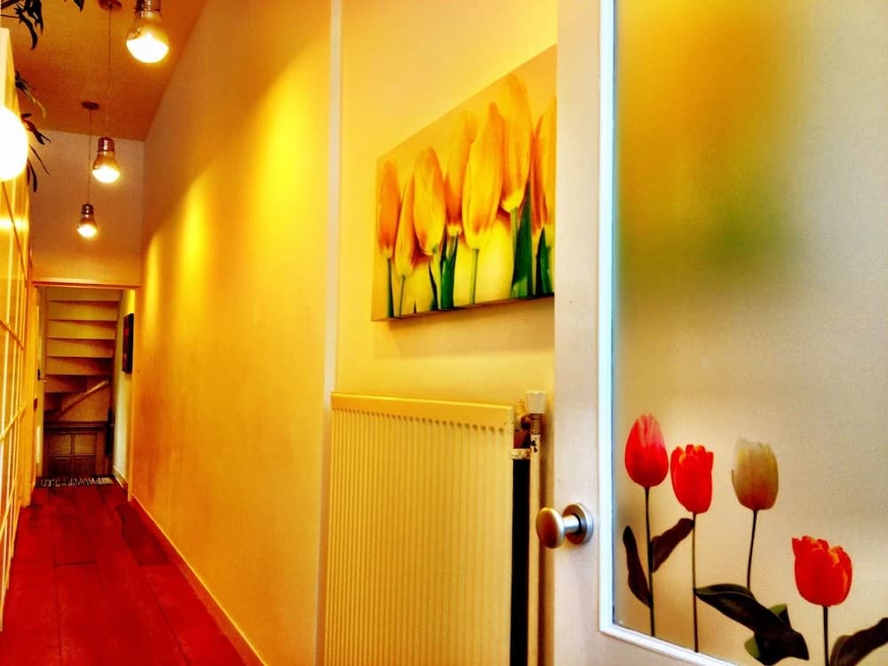 Tulip Guesthouse - photo 10