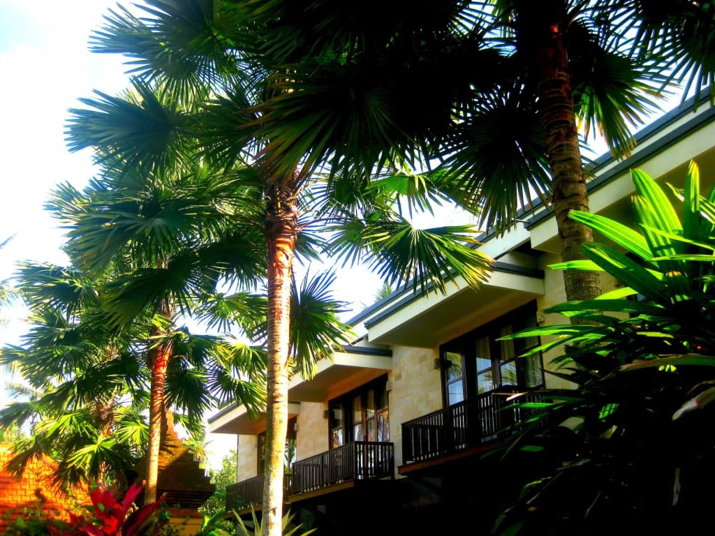 Villa Sonia Bisma - photo 18