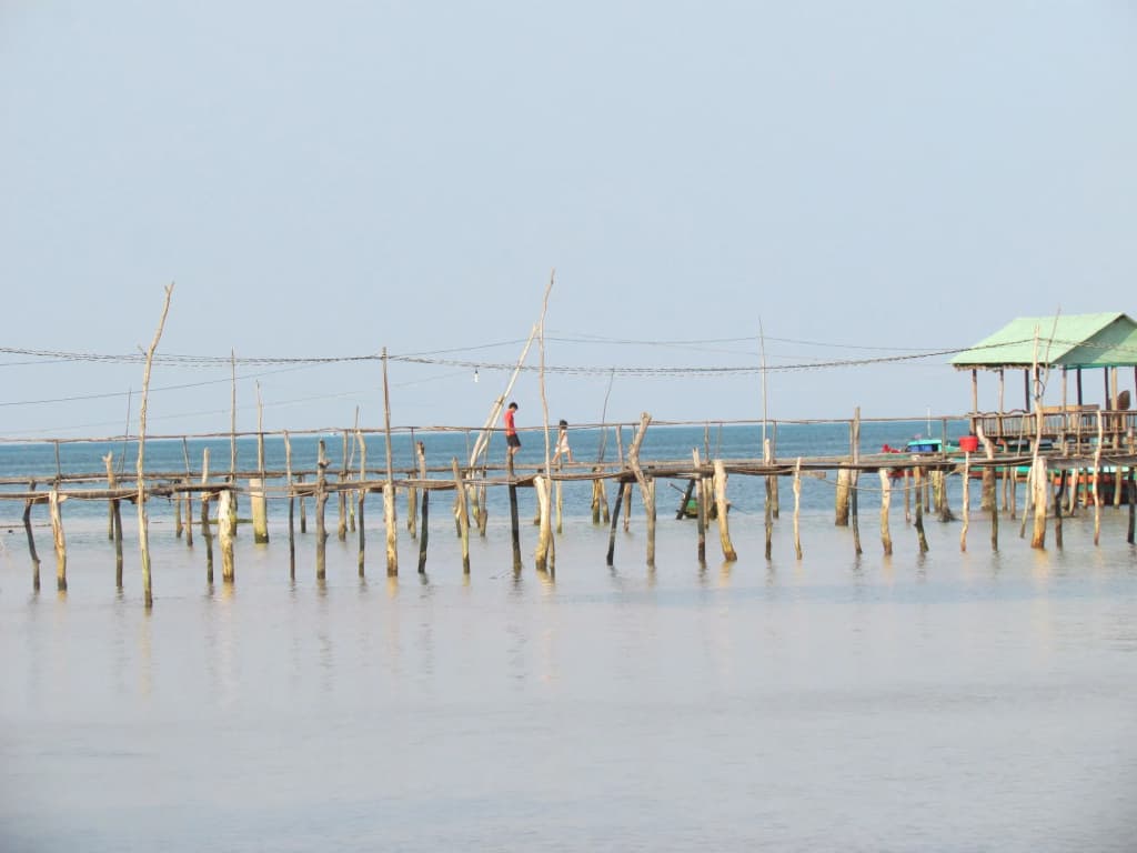 Mango Beach Resort - photo 16