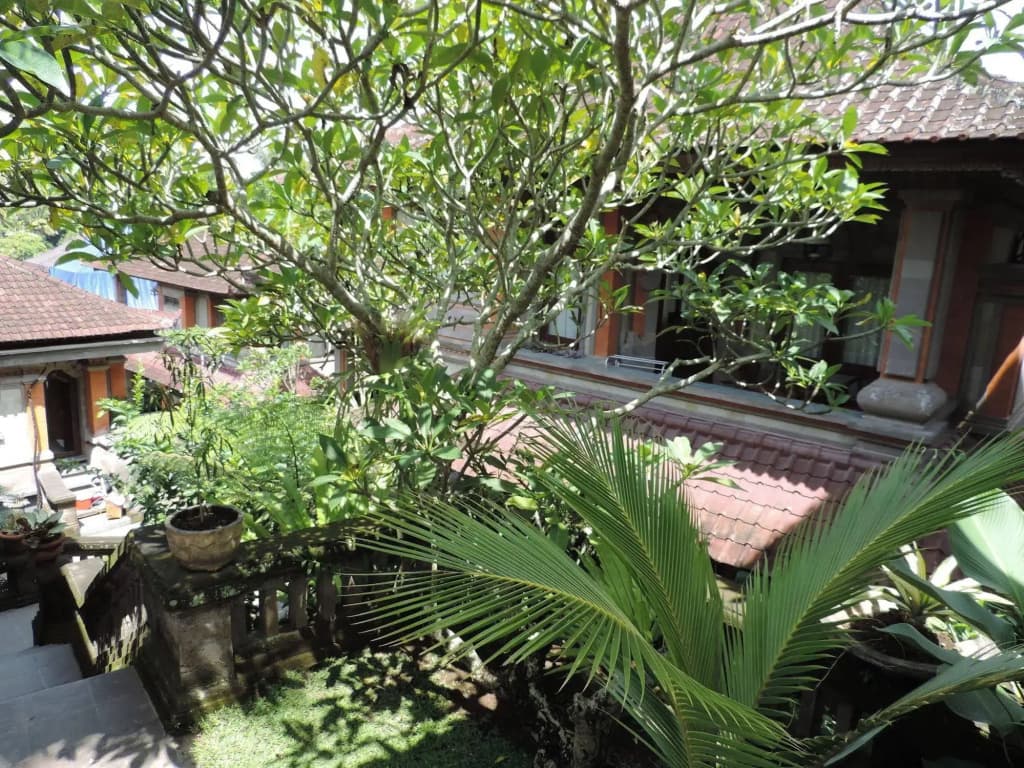 Nick's Hidden Cottages - photo 16