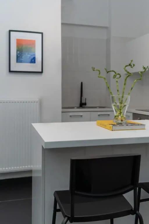 Executive Apartment in Kolonaki - photo 8