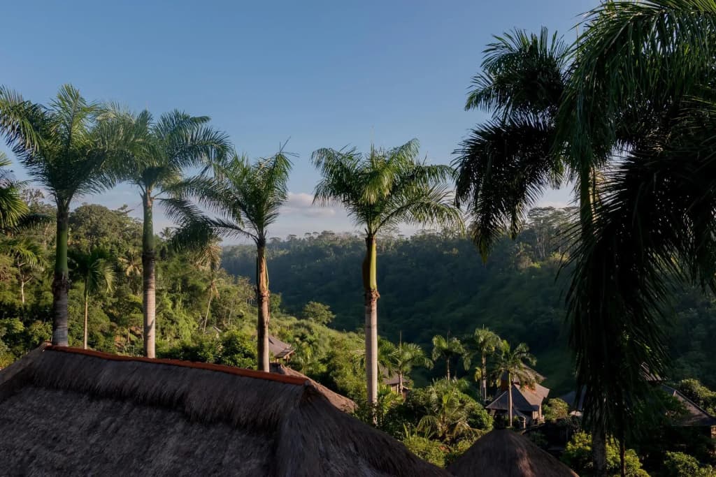 The Payogan Villa Resort & Spa Ubud - photo 26