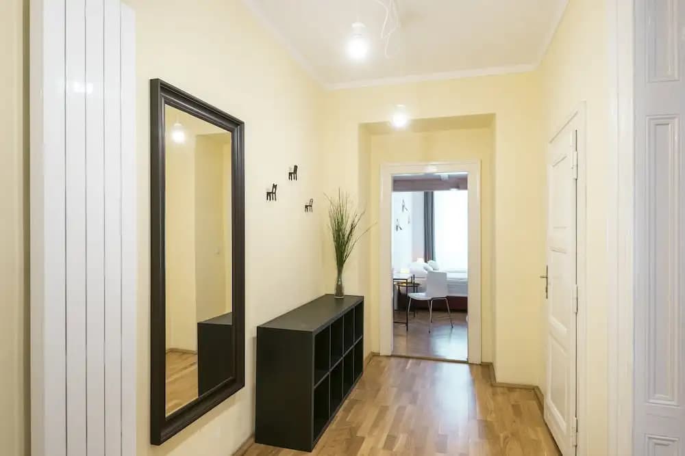 Hybernska Apartments - photo 16