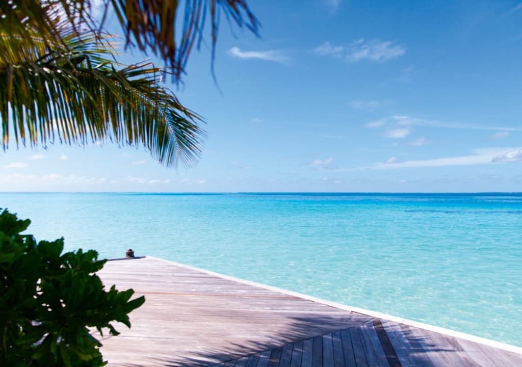 Constance Moofushi All Inclusive Hotel - photo 11
