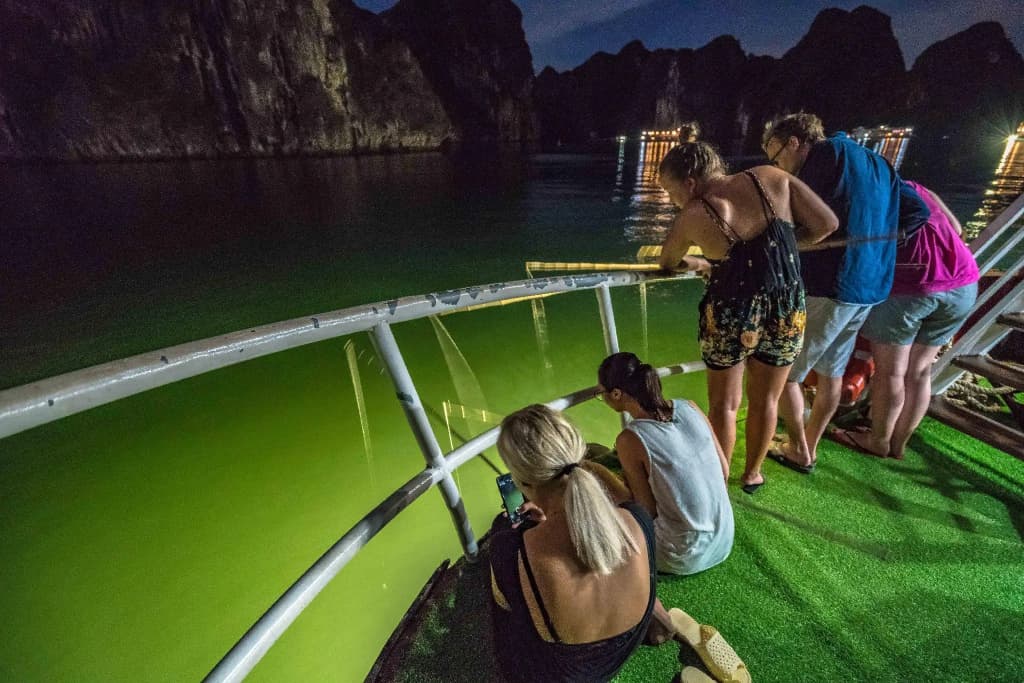 Halong Fantasea Cruise - photo 13