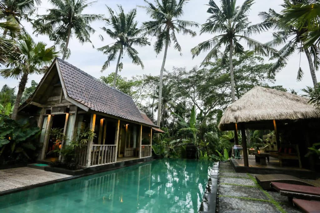 Ubud Virgin Villa - photo 9