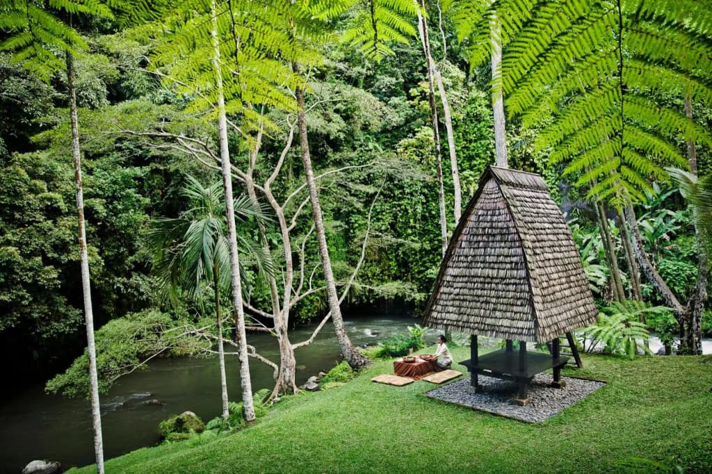 Como Shambhala Estate Resort - photo 45