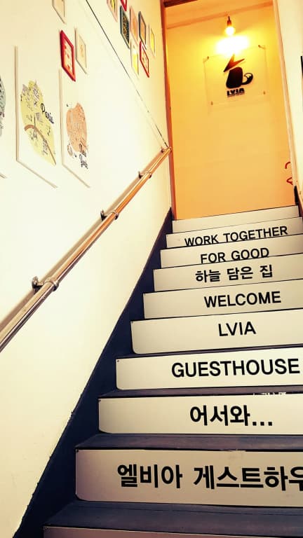 LVIA Guesthouse - Hostel - photo 13