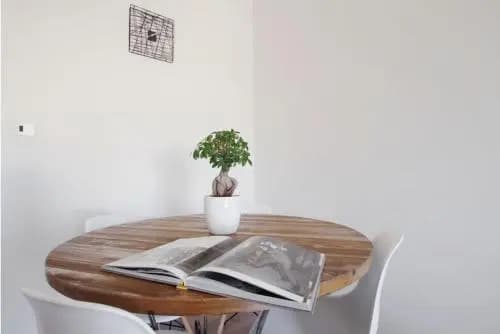 Eufonia Vinyl Friendly Apartment - photo 12