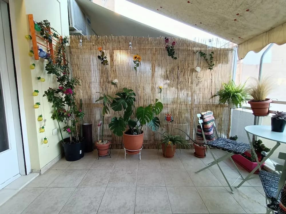 Sunny Studio - photo 40