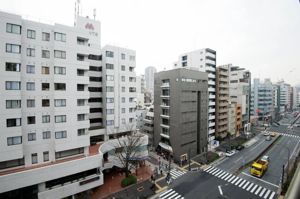 Roppongi ClassyHouse902 - photo 31