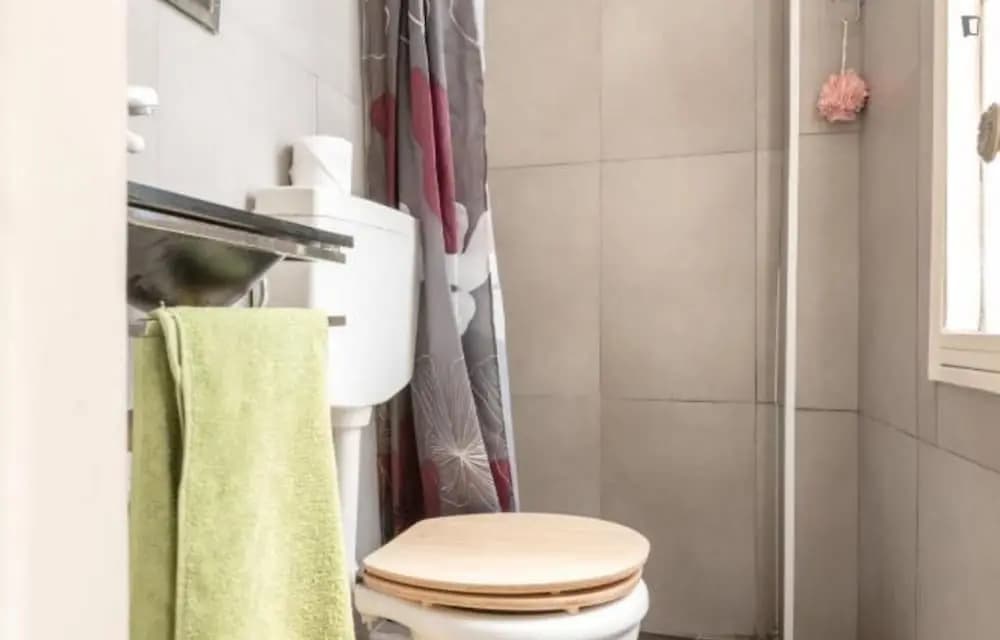 Metade Flat - photo 7