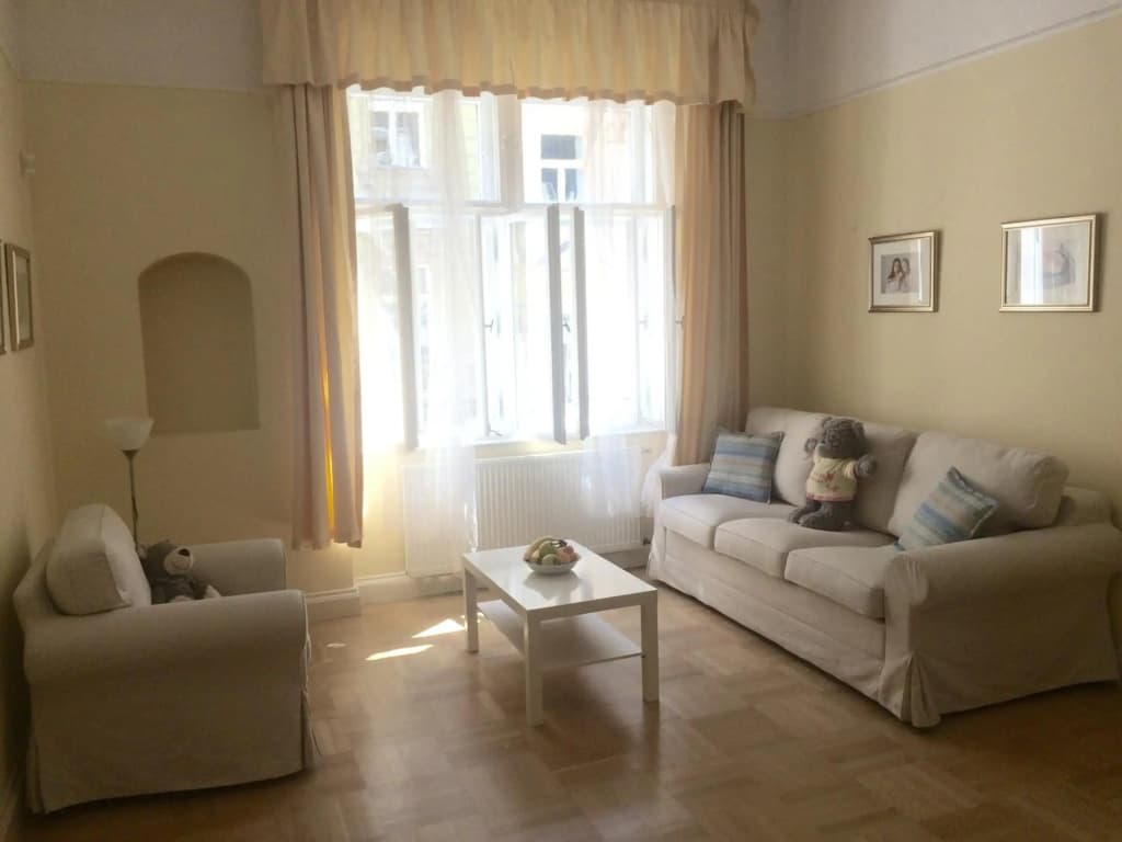 Historic centre-spacious apartment - photo 4