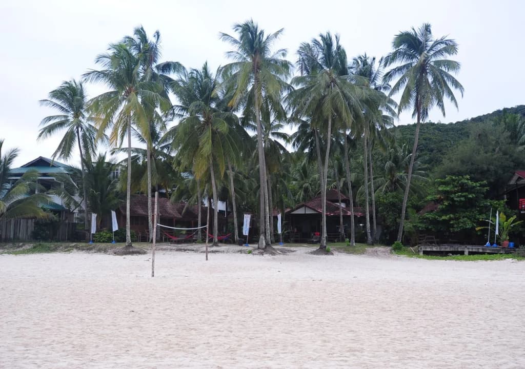 Redang Paradise Resort - photo 11