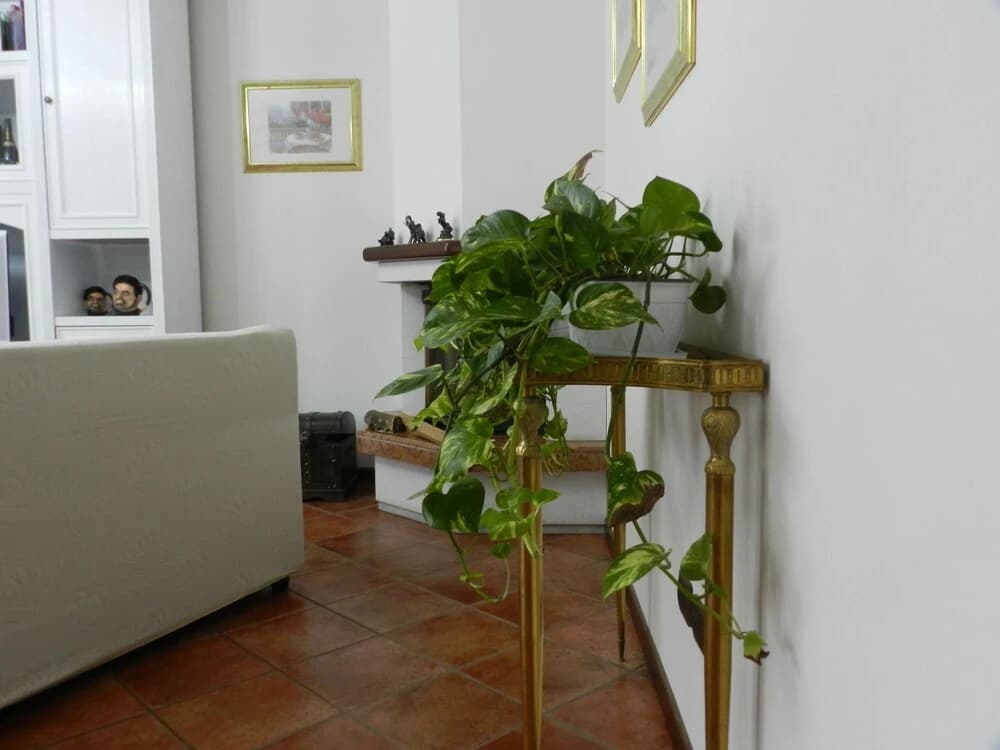 BB Le Tre Rose - photo 11