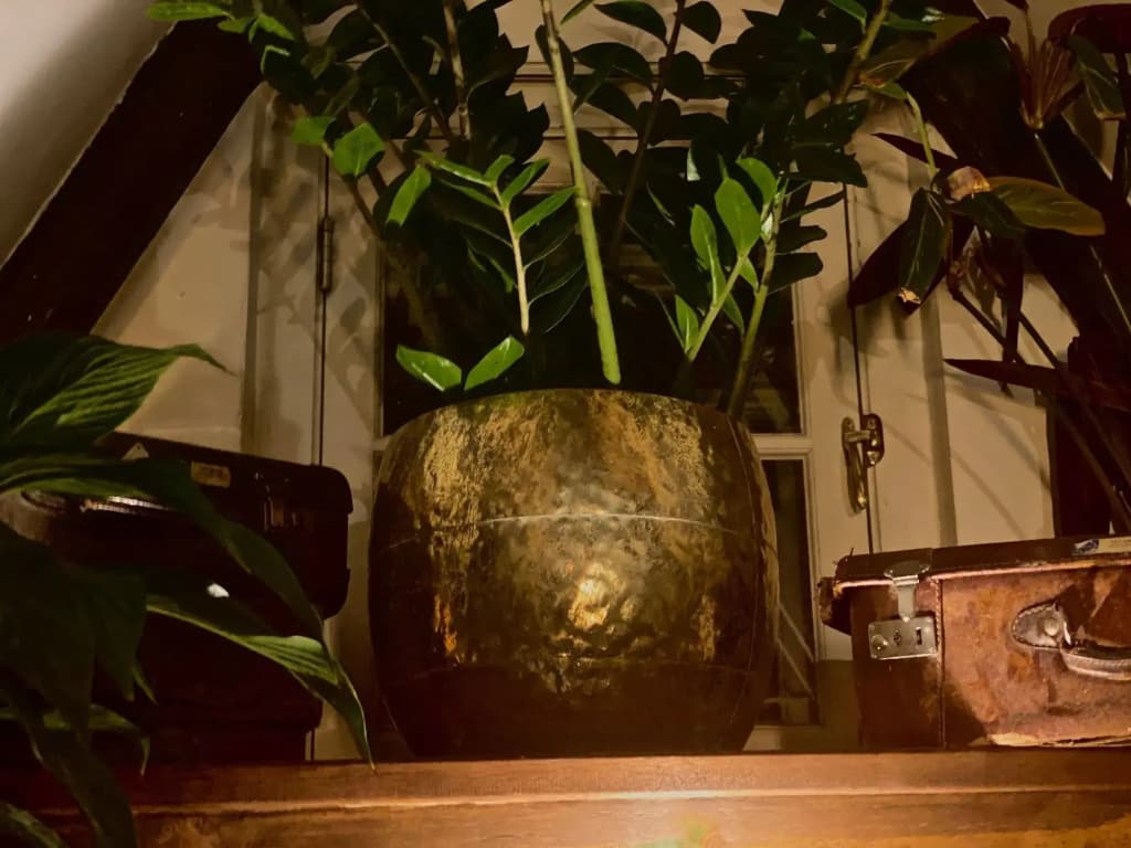 The Enlightened House - photo 8