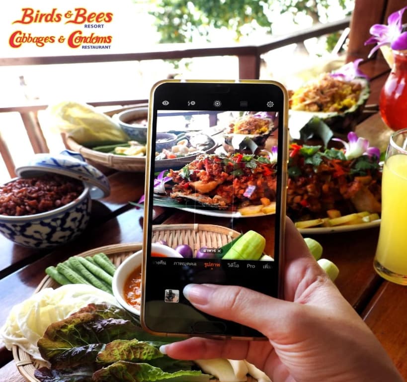 Birds and Bees Resort - photo 11