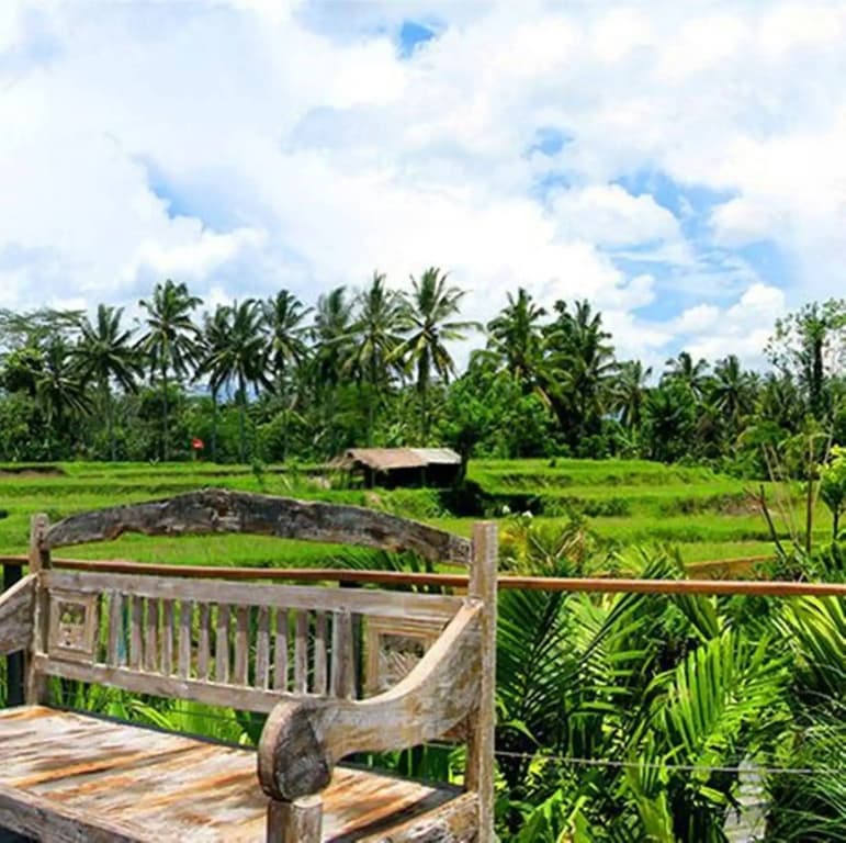 Ayurvedagram Bali - photo 19