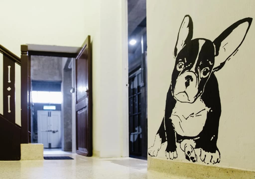 Paper Plane Hostel - photo 9