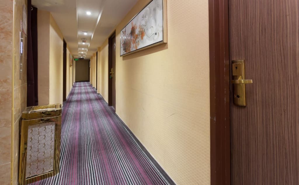 Aira Hotel - photo 22