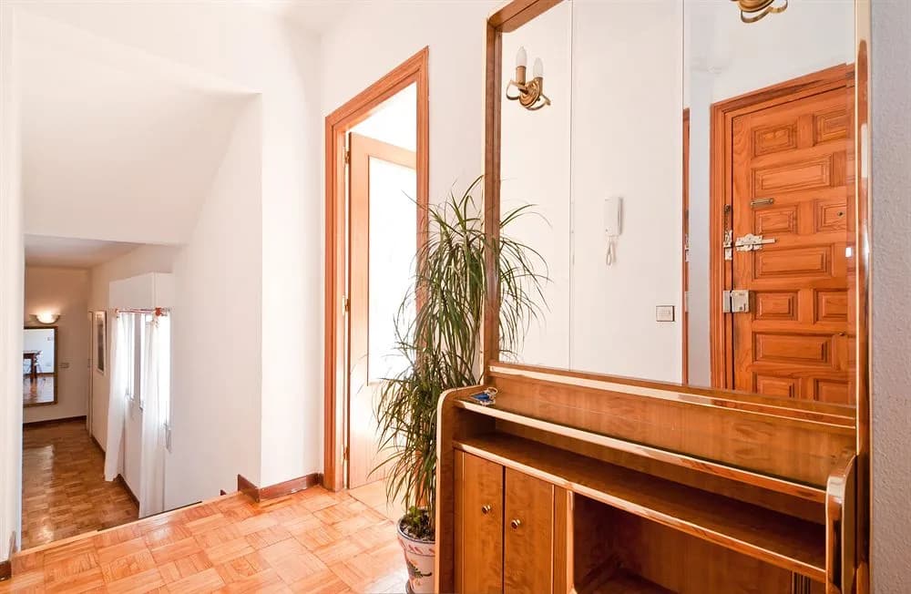 Olmo - photo 11