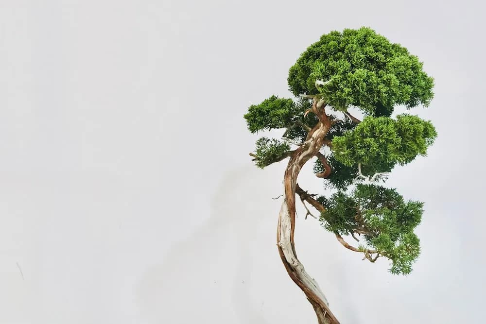 The Root2 Hotel - photo 30