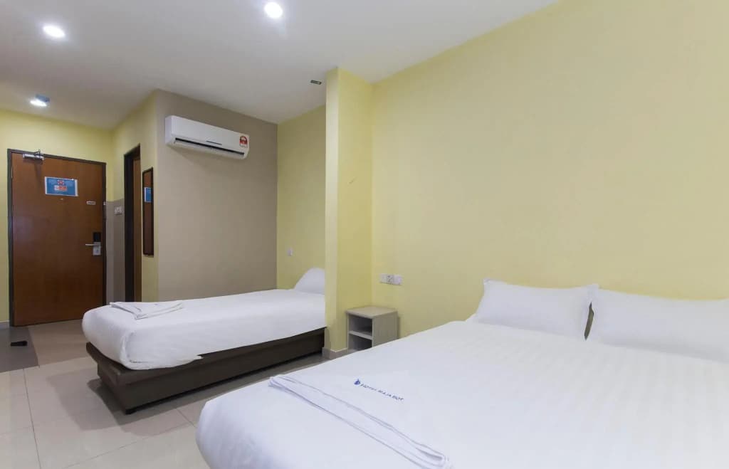 Hotel Raja Bot - photo 21
