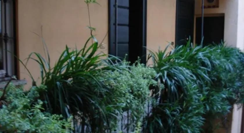 Ludovica Ghizzoni - photo 6