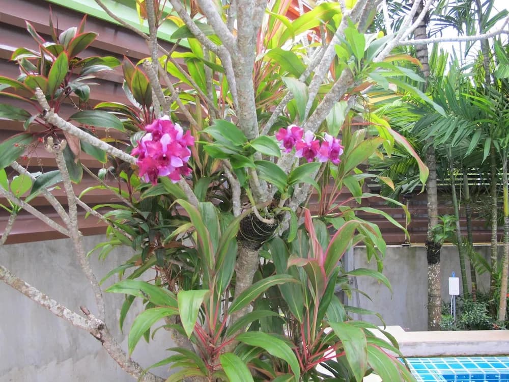 Apasari Krabi - photo 15