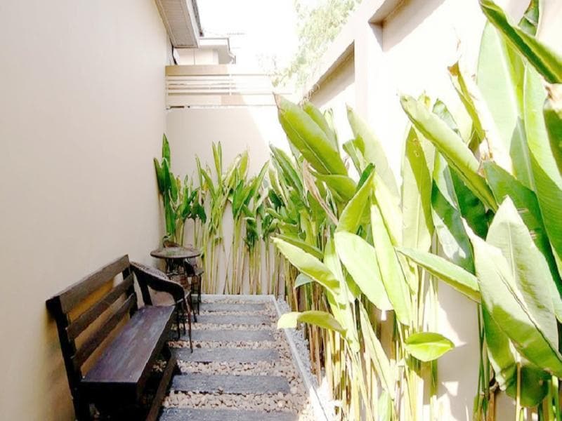Bali Resort - photo 13