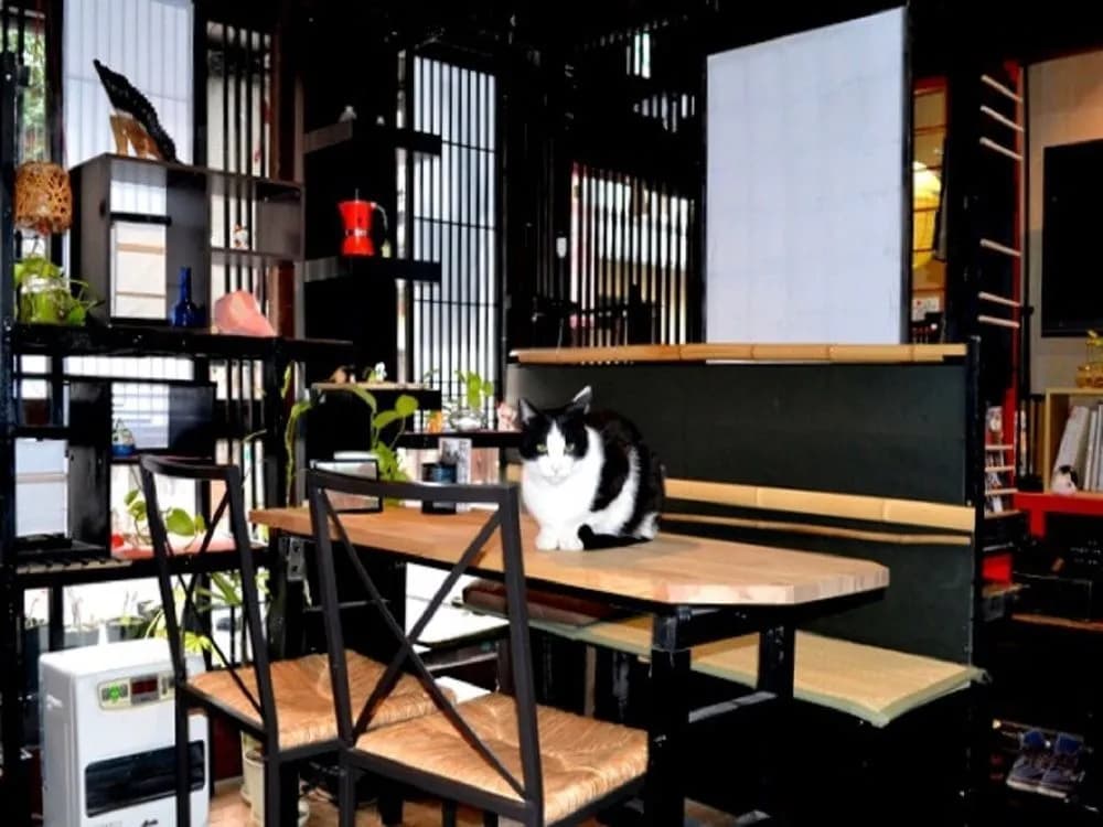 Kyoto Gion KIRAKU-INN - Hostel - photo 21
