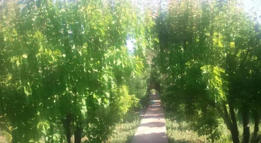 Samadia Retreat - photo 7