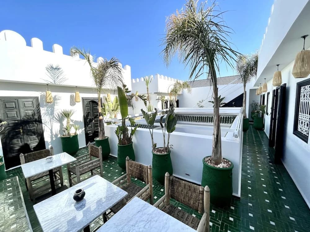 Riad Chafia - photo 17