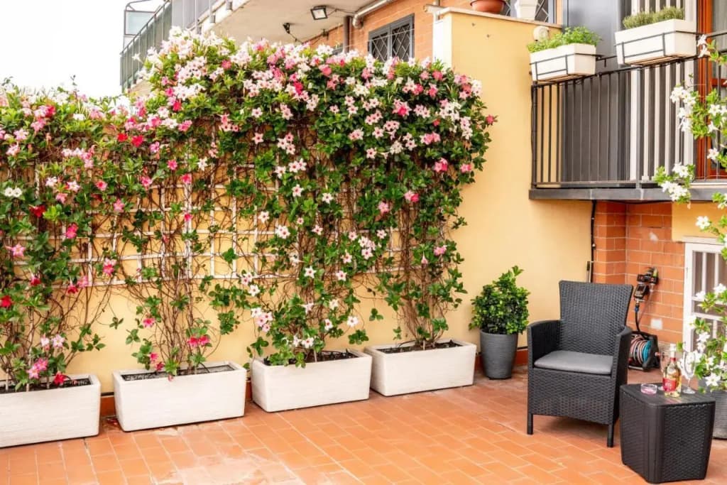 Mr Brown Suites - EUR - photo 11