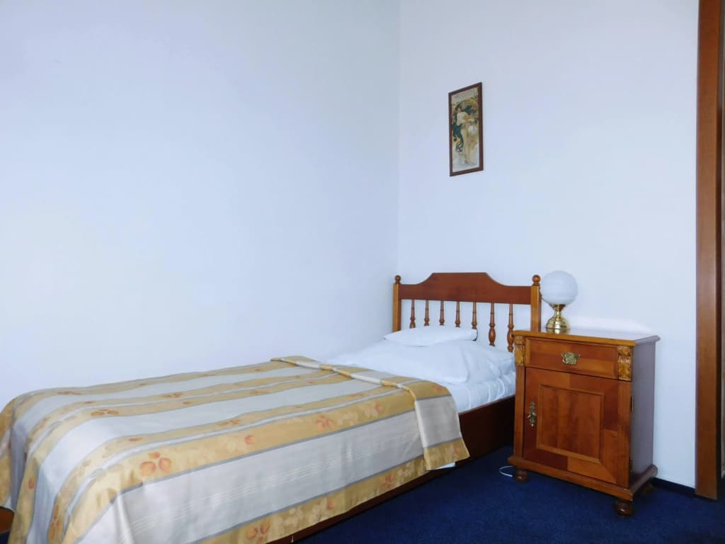Vysehrad Hotel - photo 18
